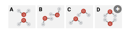 <p>The figure presents four diagrams, each showing an interaction between two molecules of water.&nbsp;<br>Which diagram shows how water molecules are most likely to interact?&nbsp;</p><p><br>a. Diagram A<br>b. Diagram B<br>c. Diagram C<br>d. Diagram D</p>