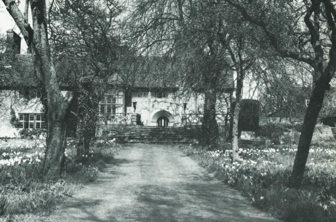 term image