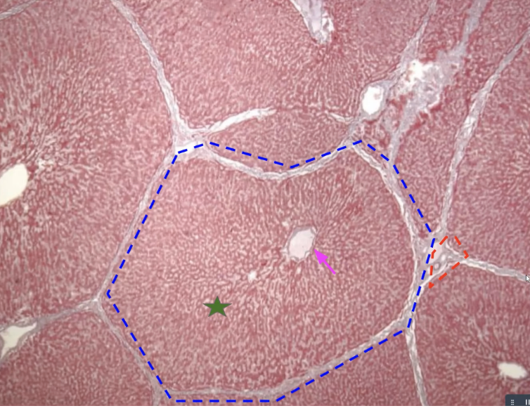 <p>pink arrow with function</p>