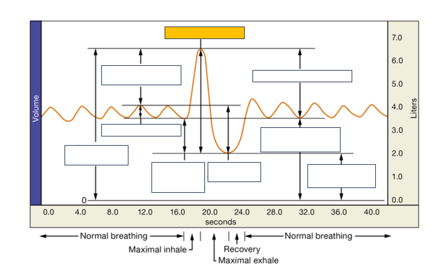<p>name and def.</p>