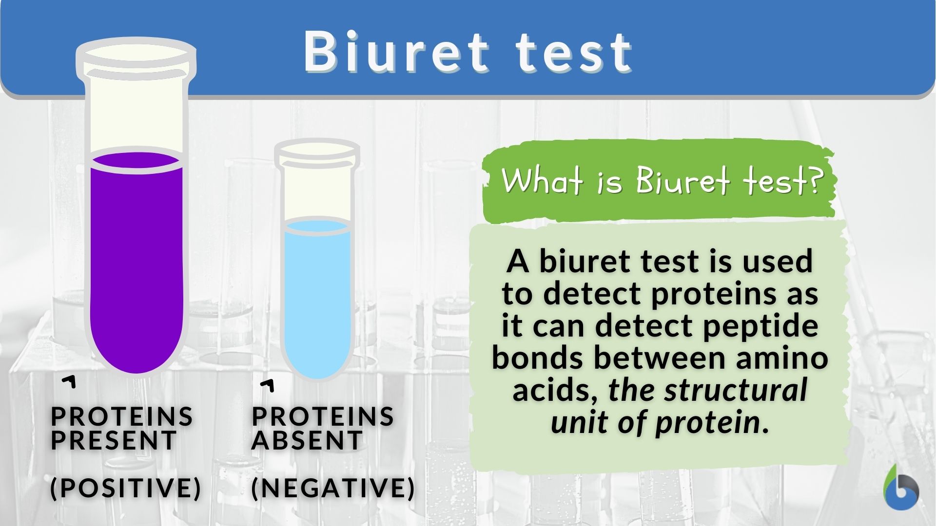 <p>A test for the presence of protein where the reagent turns from pale blue to purple in the presence of peptide bonds.</p>
