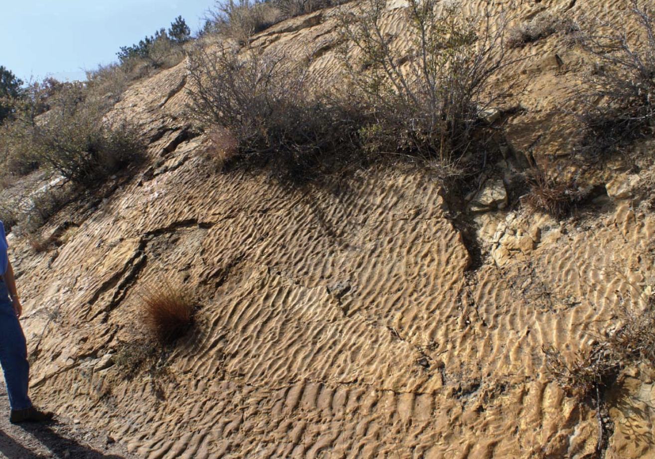 <p>Ripple marks:</p>