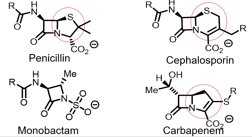 <p><span>B-Lactams</span></p><p><span>All contain B-lactam ring</span></p><p><span>Differences in structure of ring attached to B-lactam and side chains</span></p>