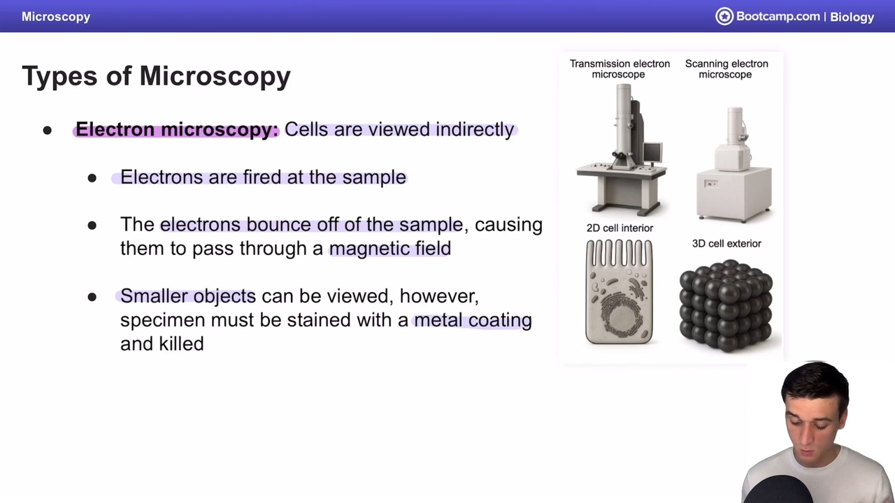 <p>electrons are fired at sample, and they bounce off, causing them to pass through a magnetic field, allowing smaller objects to be viewed</p><p></p><p>specimen must be stained with a metal coating first </p>