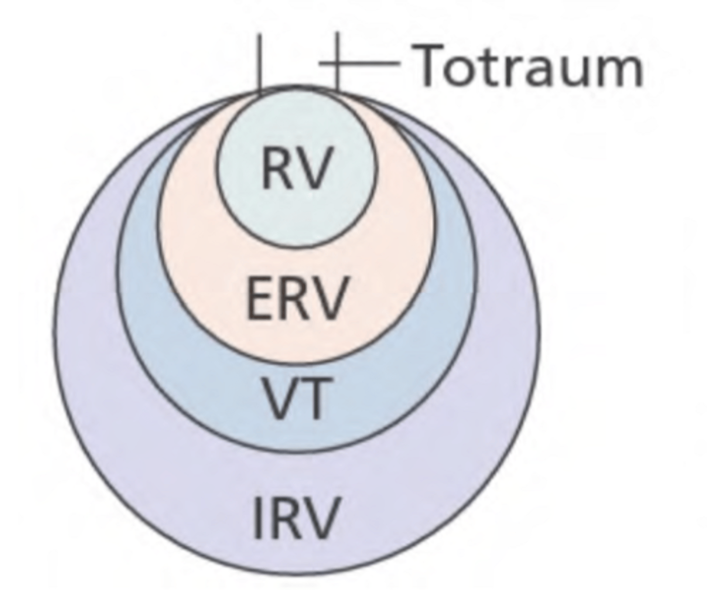 <p>RV = Residualvolumen = Luft die immer in der Lunge bleibt - verhindert, dass Lungenbläschen kollabieren</p><p>ERV = exspiratorisches Reservevolumen = Menge, die nach einer normalen Einatmung noch zusätzlich ausgepresst werden kann</p><p>V(t) = Atemzugvolumen = Luftmenge, die bei normaler Ruhe-Atmung ganz entspannt ein-& ausgeatmet wird</p><p>IRV: inspiratorisches Reservevolumen = Menge, die nach einer normalen Einatmung noch zusätzlich maximal eingeatmet werden kann</p>