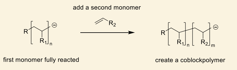 <p>there is nothing for the anion to react with so there is no termination </p><ul><li><p>after first reacted, second monomer added etc</p></li></ul><p></p>