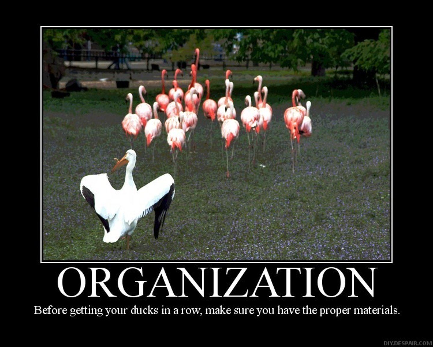 <p>organization - /ˌɔːɡənaɪˈzeɪʃn/ [c]</p>