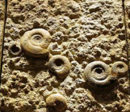<p>Gesteente dat is ontstaan uit materiaal dat door wind, water of ijs is neergelegd. Heet ook sedimentgesteente.</p>