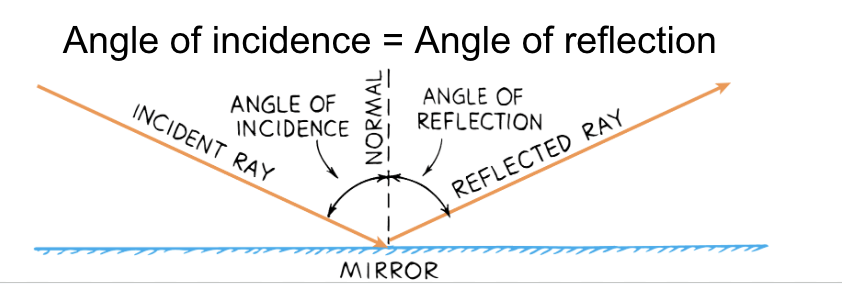 <p>Incident rays and reflected rays make equal angles with a line perpendicular to the surface, called the <strong>normal</strong></p><p><strong>Angle of incidence </strong>- the angle between the incident ray and the normal</p><p><strong>Angle of reflection </strong>- the angel between the reflected ray and the normal</p><p>Angle of incidence = angle of reflection</p>