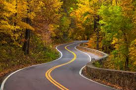 <p>winding road</p>