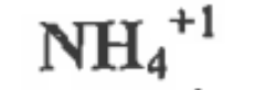 <p>1 Nitrogen, 4 Hydrogen, +1 Charge</p>