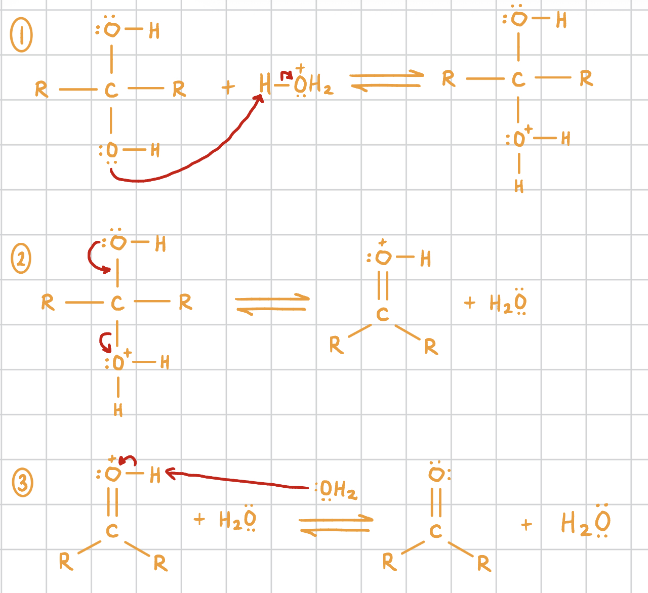 knowt flashcard image