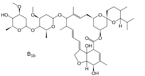 <p>b form more powerful</p>