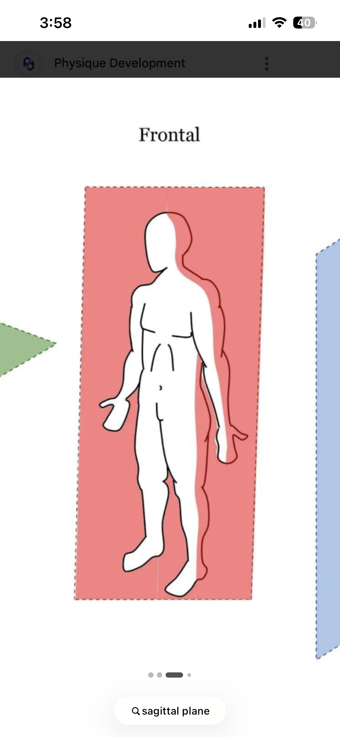 <p>Divides body into anterior and posterior halves </p><p>(Front and back) </p>