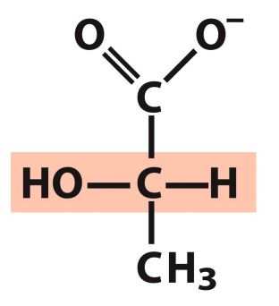 <p>What is this structure?</p>