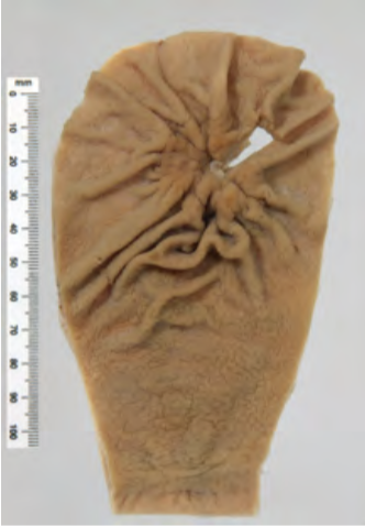 <p>Identify the POT</p>