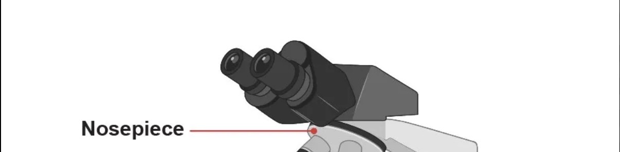 <p>The turning part that holds the lenses, and it lets you change zoom levels.</p>