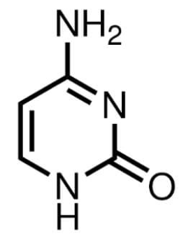 <p>What is the chemical name of Cytosine (C)?</p>