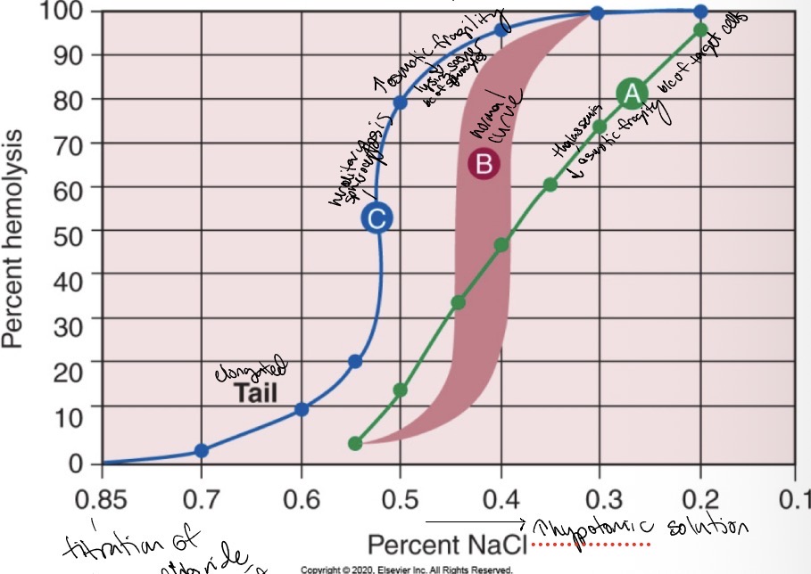 <p>Hereditary spherocytosis or thalassemia</p>