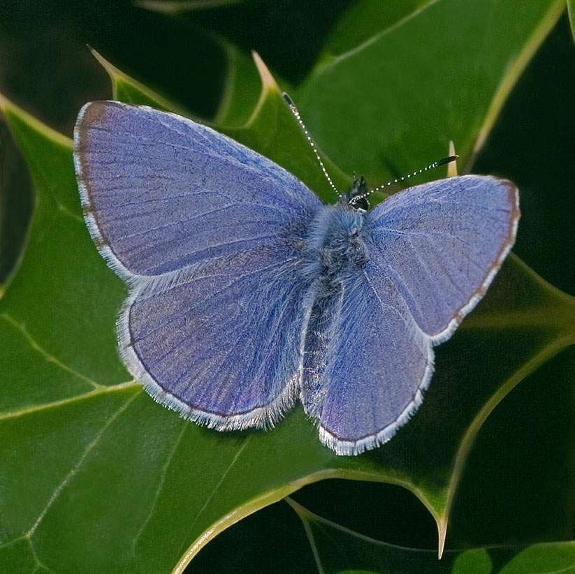 <p>Male or female?</p>