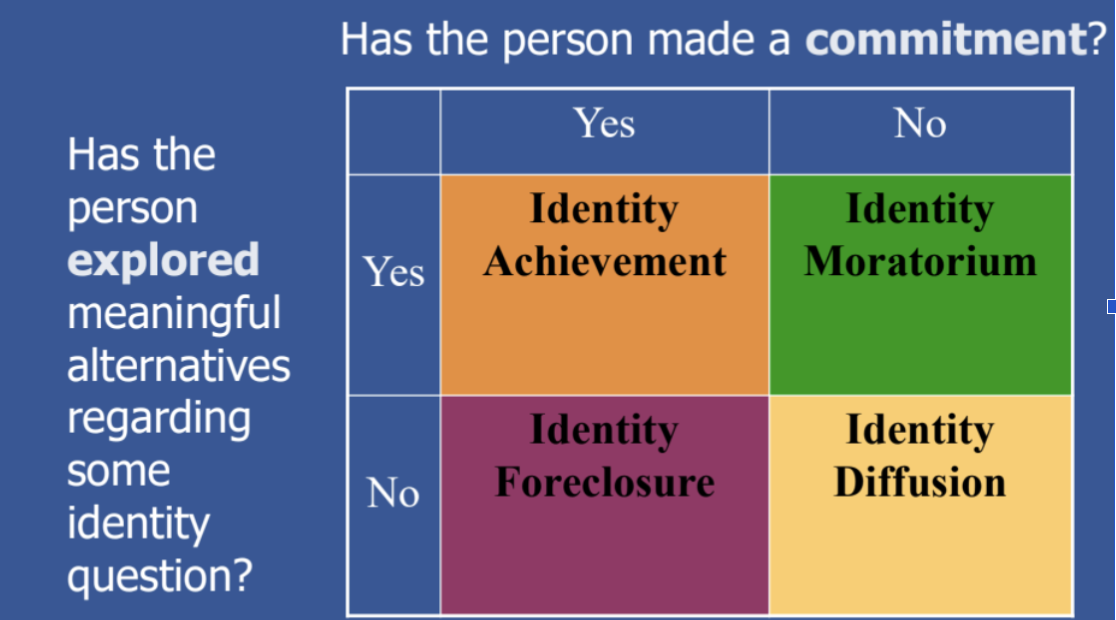 <ul><li><p><span style="background-color: transparent;">Findings:&nbsp;</span></p><ul><li><p><span style="background-color: transparent;">People move towards commitment: either foreclosure or achievement</span></p></li><li><p><span style="background-color: transparent;">moratorium = exploring options</span></p><ul><li><p><span style="background-color: transparent;">Time of heightened anxiety, but not a bad thing (college)</span></p></li></ul></li></ul></li></ul><p></p>