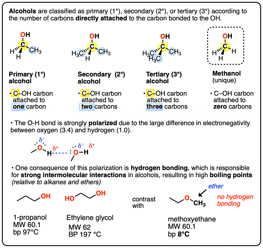 <p>Includes primary, secondary, and tertiary <span style="font-size: medium;">based on the number of other carbon atoms attached to the carbon holding the OH group:</span></p><ul><li><p>Primary (1°) Alcohols: The carbon with the -OH group connects to only one other carbon atom (e.g., Ethanol). Methanol is also grouped here even though it connects to zero other carbons.</p></li><li><p>Secondary (2°) Alcohols: The carbon with the -OH group connects to two other carbon atoms (e.g., Isopropanol).</p></li><li><p>Tertiary (3°) Alcohols: The carbon with the -OH group connects to three other carbon atoms (e.g., tert-butanol).</p></li></ul><p></p>