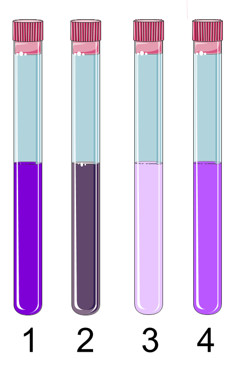 <p><span>Assume you created four serial dilutions of a compound that makes a solution turn from colorless to purple (see below).&nbsp; If you measured the absorbance of each of these 4 dilutions, which one do you expect will contain the lowest&nbsp; concentration of this compound?</span></p>