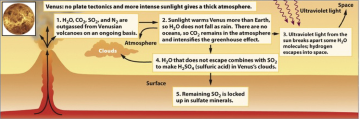 <p>Runaway greenhouse effect </p><ul><li><p><span style="background-color: transparent;"><u>1</u>/Water, Carbon dioxide, and sulfur dioxide outgassed from volcanoes on an ongoing basis </span></p></li><li><p><span style="background-color: transparent;"><u>2</u>/ Sunlight warms Venus more than Earth, so water does not fall as rain, therefore carbon dioxide stays in the atmosphere and intensifies the greenhouse effect </span></p></li><li><p><span style="background-color: transparent;"><u>3</u>/ UV light from the sun breaks apart some water molecules and hydrogen escapes into space </span></p></li><li><p><span style="background-color: transparent;"><u>4</u>/ Remaining water does not escape, it combines with sulfur dioxide to make sulfuric acid that forms <u>Venus’s clouds</u></span></p></li><li><p><span style="background-color: transparent;"><u>5</u>/ Remaining sulfur dioxide is locked up in sulfate minerals </span></p></li><li><p><span style="background-color: transparent;"><em>In one sentence: a self-reinforcing cycle where a small amount of extra heat evaporates more water and releases more carbon dioxide, which traps more heat, which releases even more gas, continuing until a much hotter equilibrium is reached </em></span></p></li></ul><p></p>