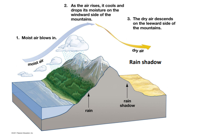 <p>Topography</p>