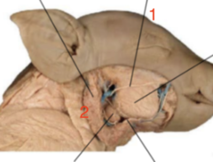 <p>1</p>