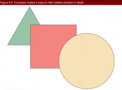 <p>nonmetrical depth</p>