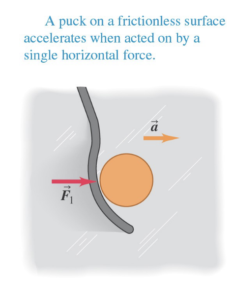 <p>Acceleration (accelerates in the direction of a net applied force )</p>