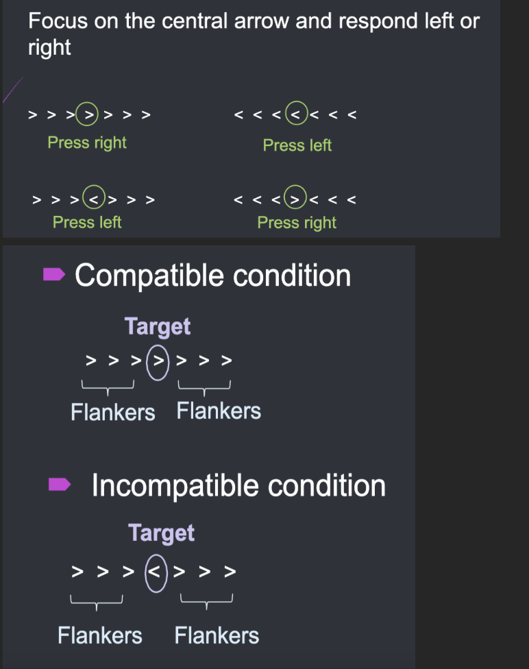 <p>Had to focus on the circled arrow, and respond by pressing either left or right.</p><ul><li><p>circled arrow is the target, everything else is flanker. </p></li><li><p>When compatible, flanker arrow helps, but when incompatible, slows down reaction time</p></li></ul><p></p>