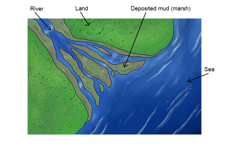 <p>Step 2 of the formation of an estuary?</p>