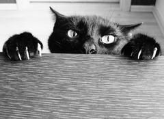 <p>1. evil in nature or effect.</p><p>2. speak about (someone) in a spitefully critical manner.</p><ul><li><p>evil; speak about someone in critical manner</p></li></ul><p></p>