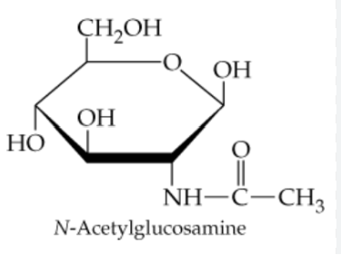 <p>N-acetylglucosamine</p><p></p>