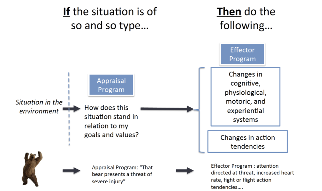 <p>Emotions are special kinds of effector programs:</p><p>situation in the environment —> if teh situation is of so and so type… then do the following</p><ol><li><p>Situation in the environment —> </p></li><li><p>Appraisal program (how does the situation stand in relation to goals and values?) —> </p></li><li><p>Effector program (changes in physiology, action tendencies)</p></li></ol><p></p>
