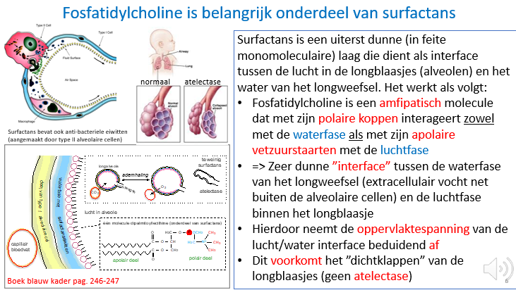 <p>juist</p>