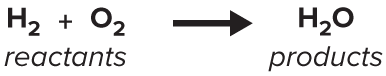 <p>chemical equation</p>