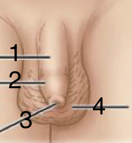 <p>2</p>