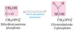 <p>5th step of glycolysis and 7th step of gluconeogenesis</p><p>catalysed by<span style="background-color: transparent;"> <strong>triose phosphate isomerase</strong></span></p>
