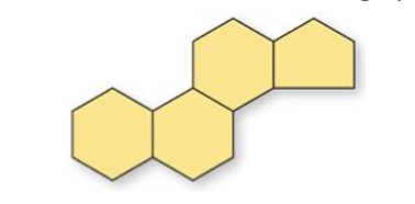 <ul><li><p>Flat molecules made of four interlocking hydrocarbon rings</p></li></ul><p></p>