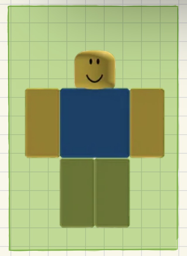 term image