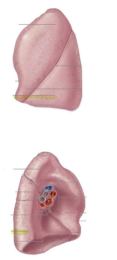 <p>what is this </p>