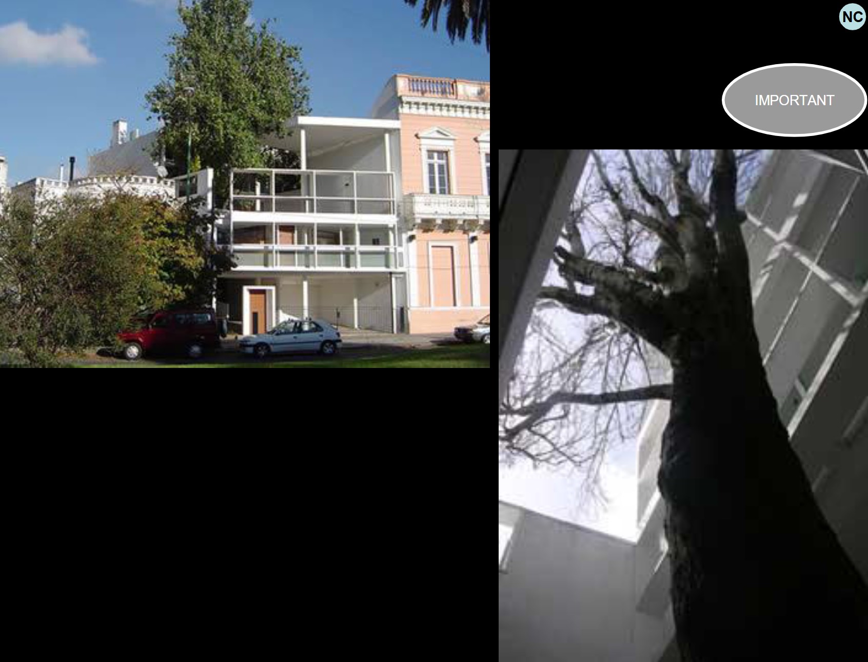 term image