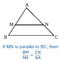 <p>A line parallel to one side of a triangle divides the other two sides proportionally (CONVERSE IS TRUE)</p>
