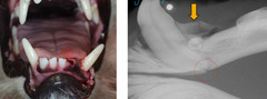 <p>Describe what you are seeing here. How do you fix it?</p>