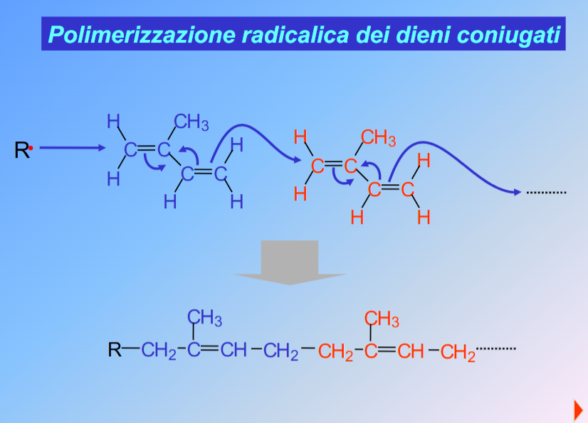 <p>I <strong>dieni coniugati</strong> sono idrocarburi (dieni) in cui due doppi legami carbonio-carbonio sono separati esattamente da un legame singolo. Questa alternanza (doppio-singolo-doppio) genera un sistema di orbitali \(\pi \) sovrapposti, conferendo alla molecola proprietà chimiche e fisiche uniche, come una maggiore stabilità rispetto a dieni isolati o cumulati. Gli elettroni \(\pi \) non sono fissi tra due soli atomi di carbonio, ma sono delocalizzati sull'intera struttura del sistema. Questo rende il legame singolo centrale più corto rispetto a un normale legame alcano Per effetto della risonanza, i dieni coniugati hanno un'energia di risonanza che li rende più stabili dal punto di vista termodinamico.</p>