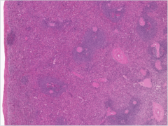 <p>What does this image show?</p>