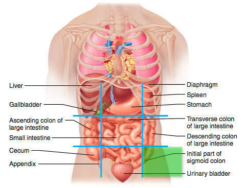 knowt flashcard image